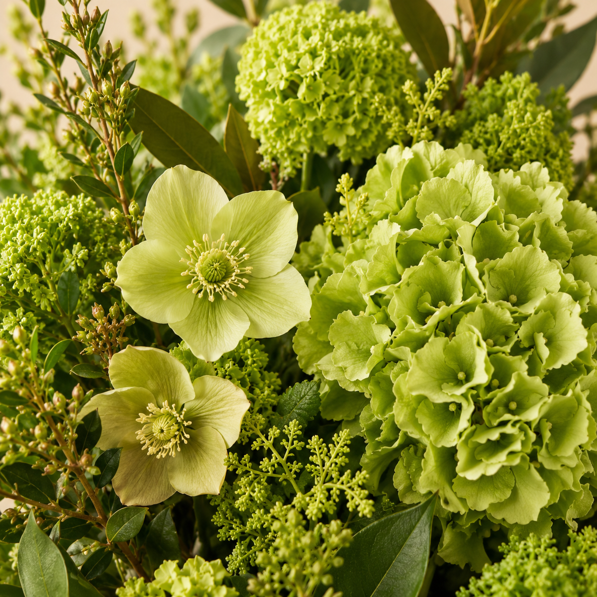 Gros plan des fleurs du bouquet vert premium Flowever – image de démonstration